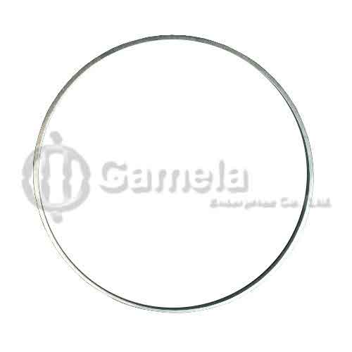 4215-555303 - Guide-Ring-inner-diameter-53-mm-outer-diameter-55-1-mm-height-3-2-mm-suit-for-SD507