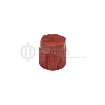 22612 - Cap Red High Side M10 x 1.25