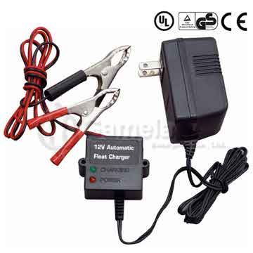 Vehicle Battery & Charger 