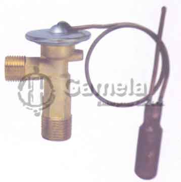 Expansion Valve